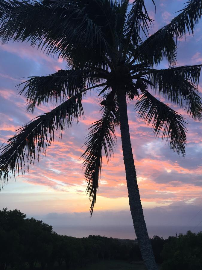 Puakea Ranch Hotel Hawi Buitenkant foto