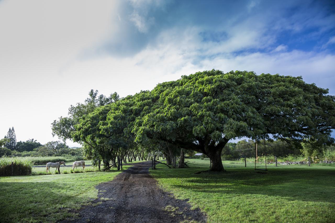 Puakea Ranch Hotel Hawi Buitenkant foto